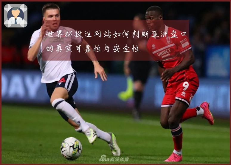 世界杯投注网站如何判断亚洲盘口的真实可靠性与安全性