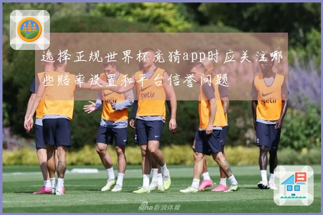 选择正规世界杯竞猜app时应关注哪些赔率设置和平台信誉问题